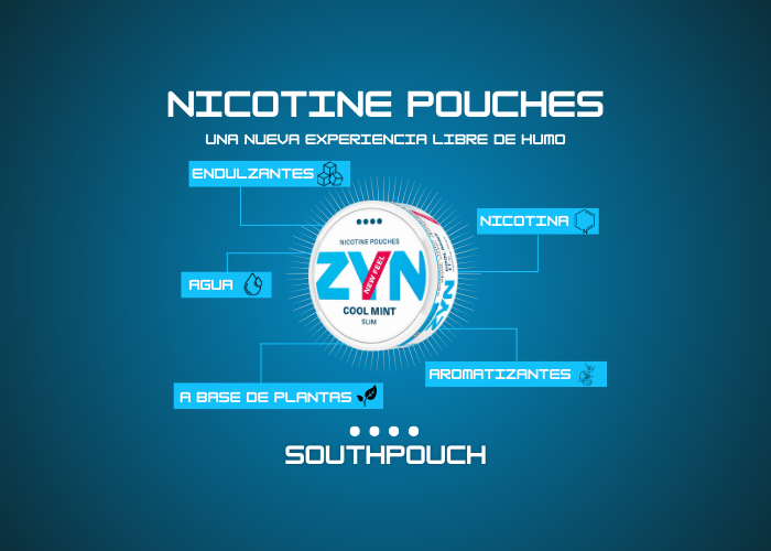 ZYN ARGENTINA