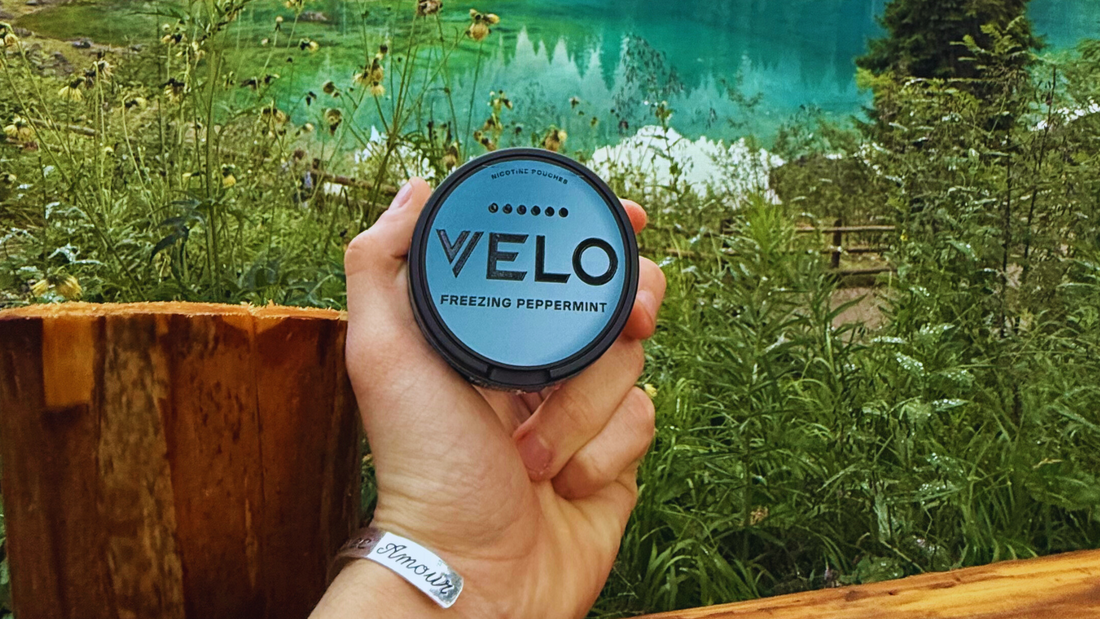 Snus Argentina